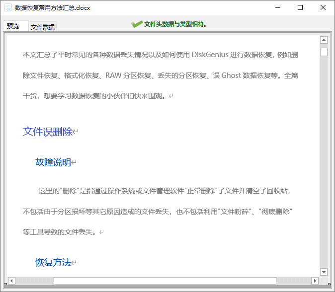 DiskGenius预览文件