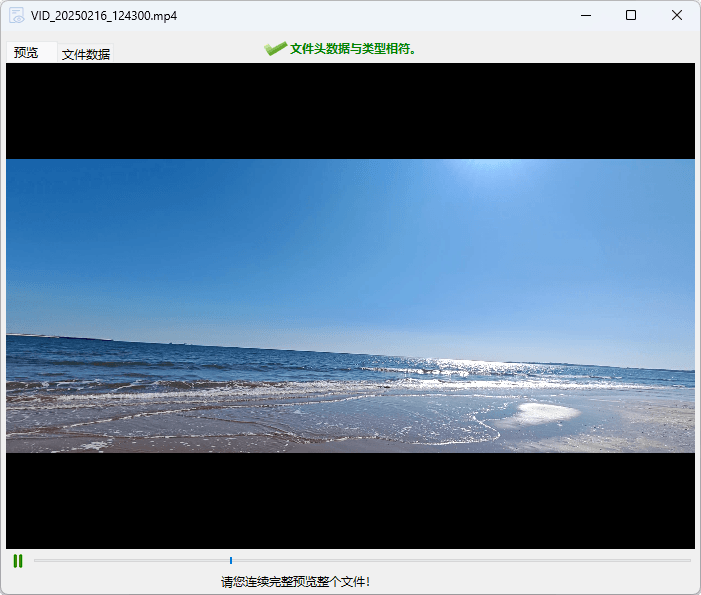 DiskGenius预览